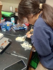 Toshiba ExploraViion Winner Janelly Garay creates bioplastic prototype